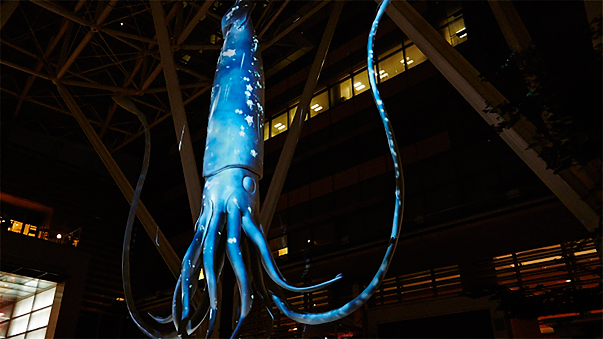 深海4Dスクエア -夏の夜に浮かび上がる幻のダイオウイカ-｜WORKS｜P.I.C.S.