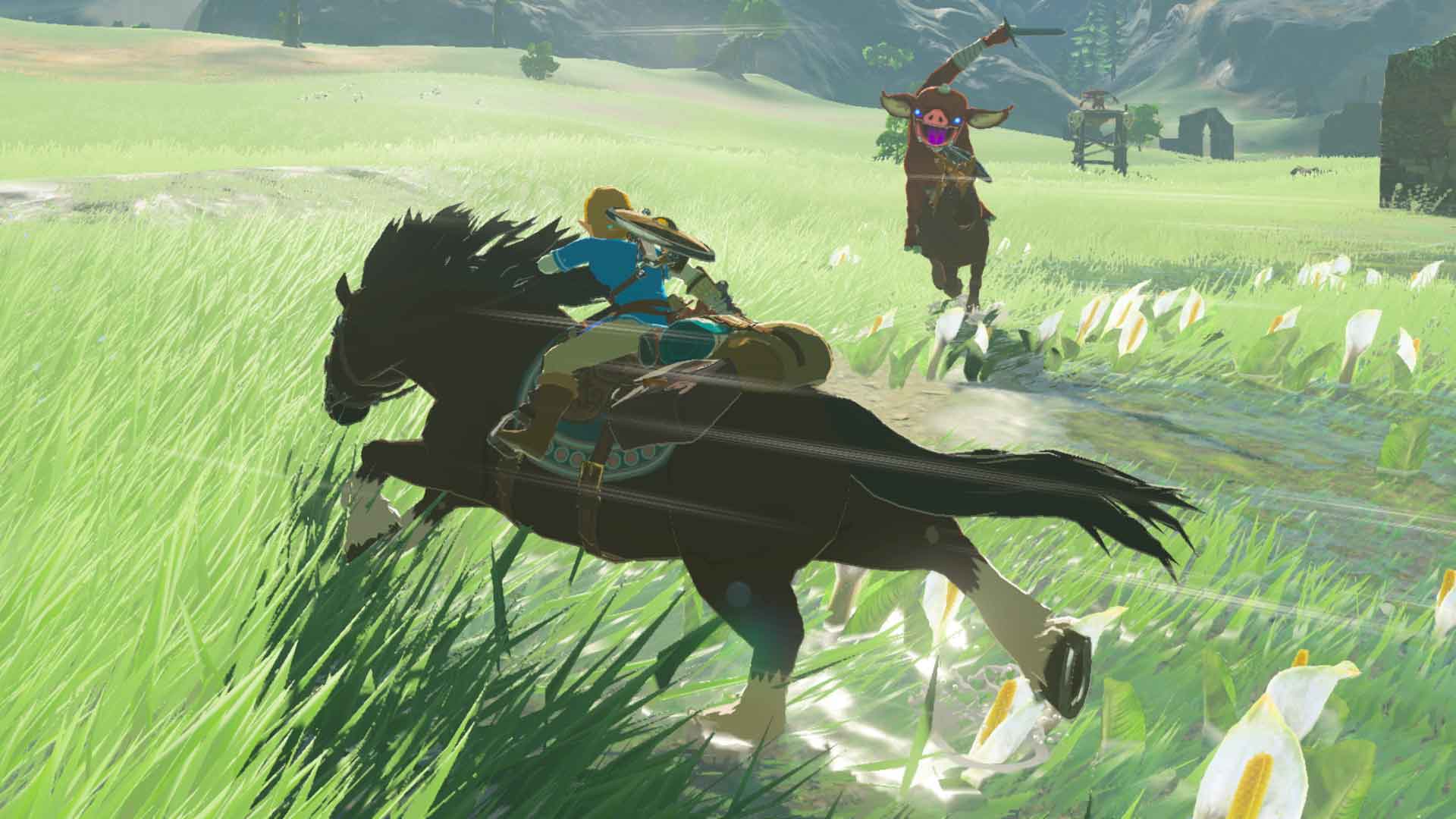 Nintendo Switch ゼルダの伝説 ブレス オブ ザ ワイルド Works P I C S