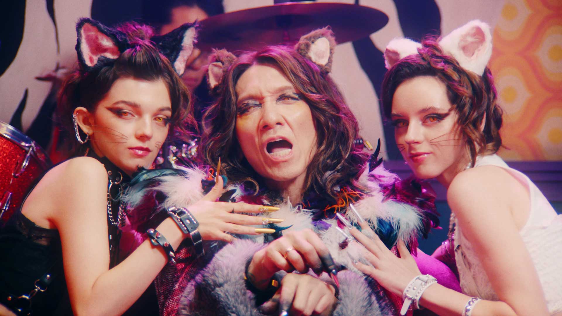 THE YELLOW MONKEY「CAT CITY」｜WORKS｜P.I.C.S.