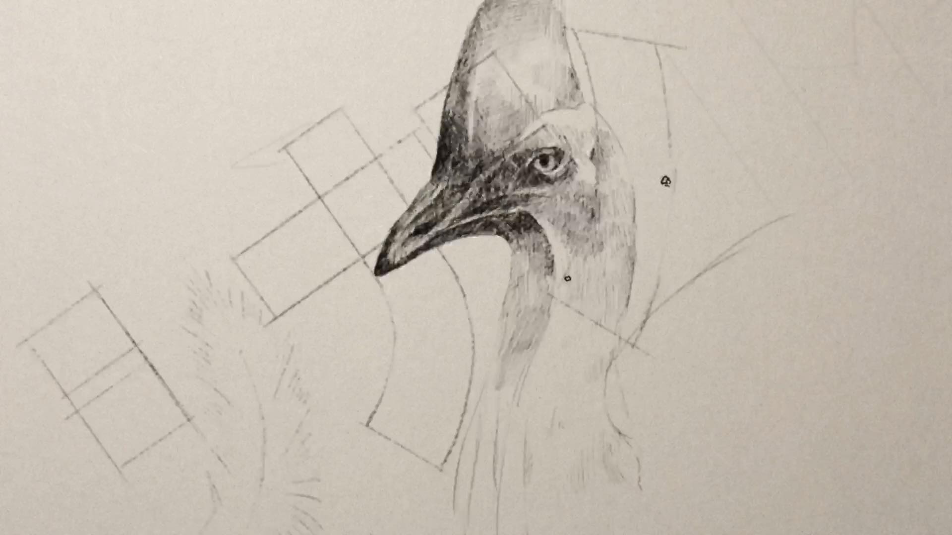 『シナントロープ』オープニングテーマ | 柴田聡子 &#038; Elle Teresa「ときめき探偵 feat. Le Makeup」