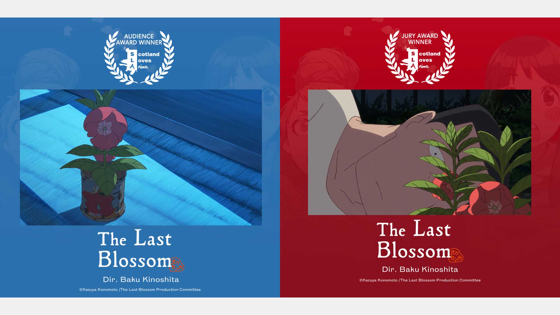 映画『ホウセンカ』がScotland Loves Anime 2025で審査員賞および観客賞を受賞。