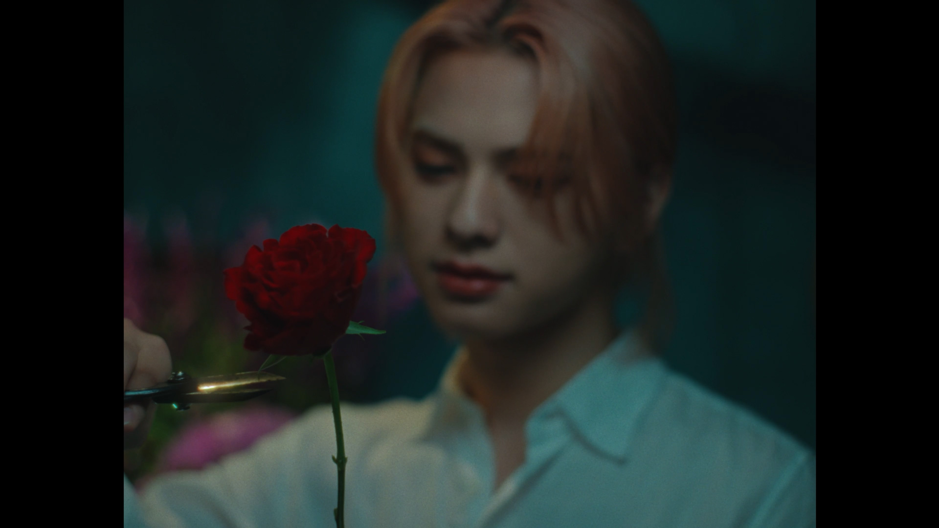 INI JIN “Reveal”